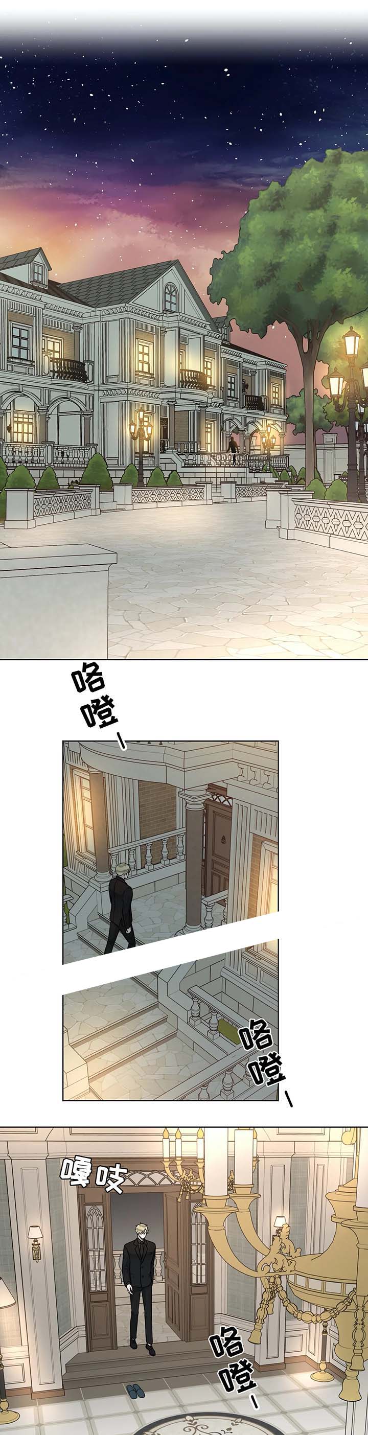 《阿尔法伴侣》漫画最新章节第52话免费下拉式在线观看章节第【5】张图片