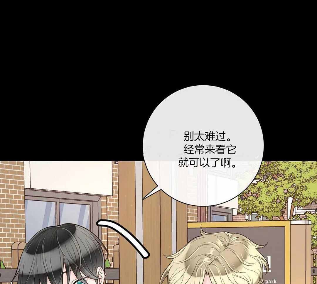 《阿尔法伴侣》漫画最新章节第94话免费下拉式在线观看章节第【29】张图片