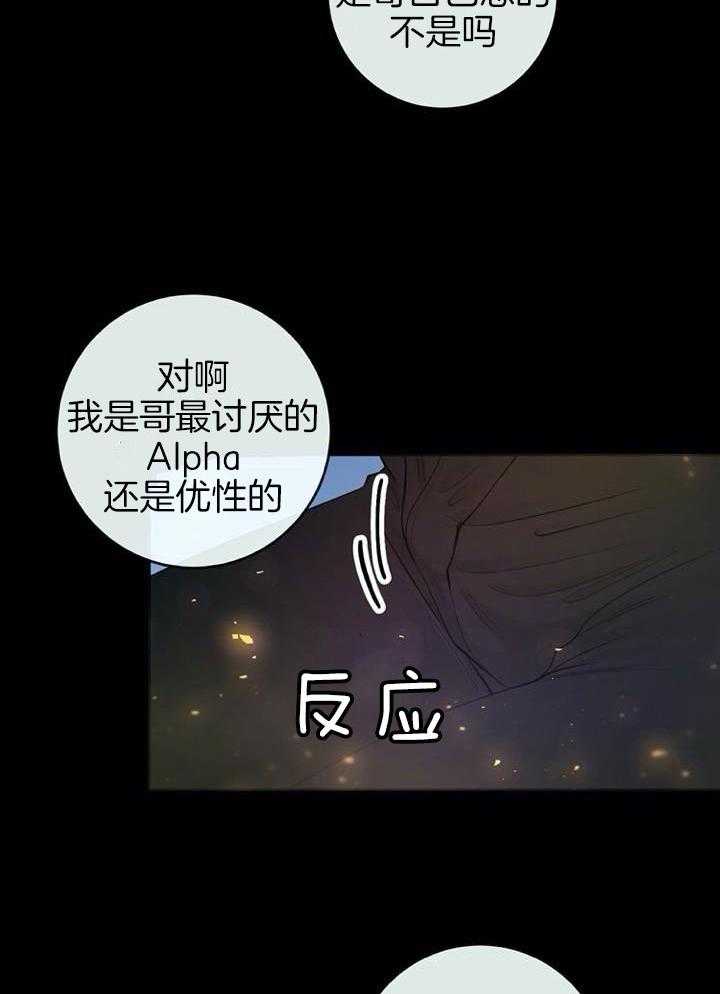 《阿尔法伴侣》漫画最新章节第70话免费下拉式在线观看章节第【4】张图片