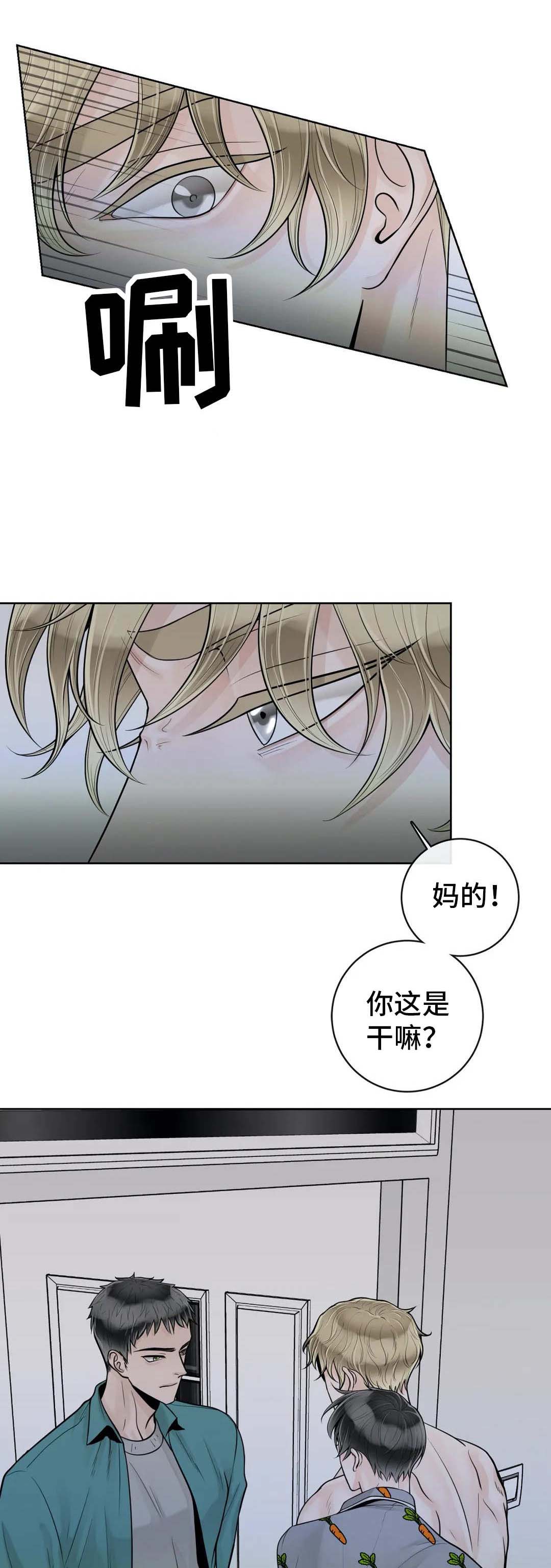 《阿尔法伴侣》漫画最新章节第49话免费下拉式在线观看章节第【9】张图片