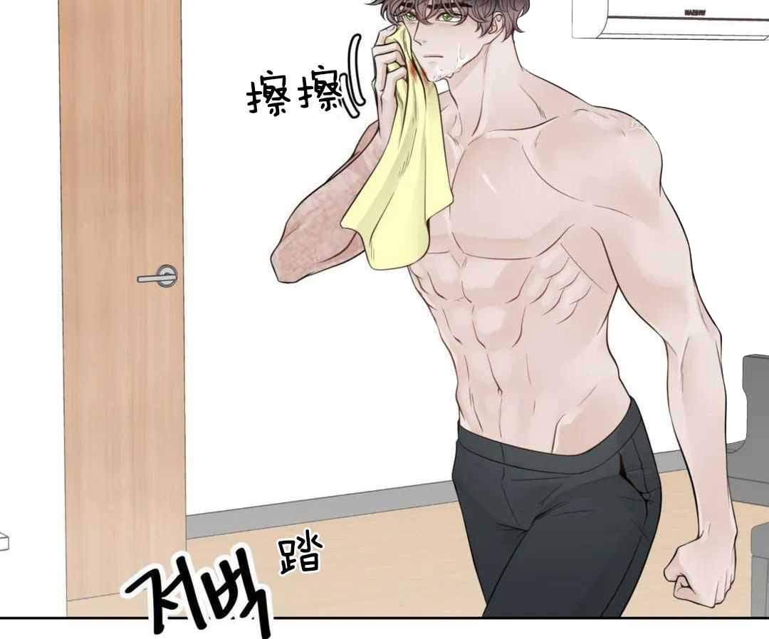 《阿尔法伴侣》漫画最新章节第100话免费下拉式在线观看章节第【46】张图片