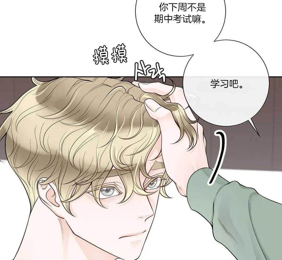 《阿尔法伴侣》漫画最新章节第99话免费下拉式在线观看章节第【22】张图片