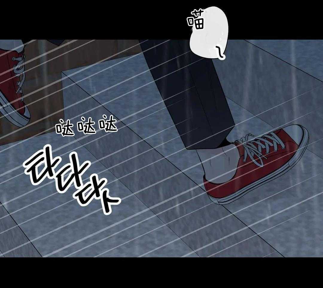 《阿尔法伴侣》漫画最新章节第96话免费下拉式在线观看章节第【5】张图片