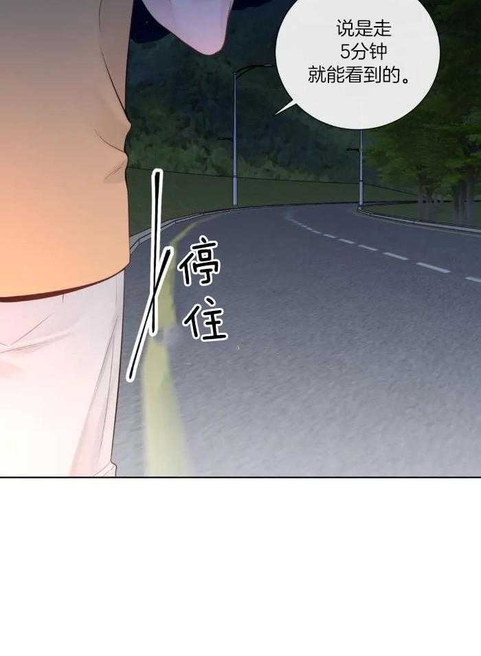 《阿尔法伴侣》漫画最新章节第78话免费下拉式在线观看章节第【28】张图片