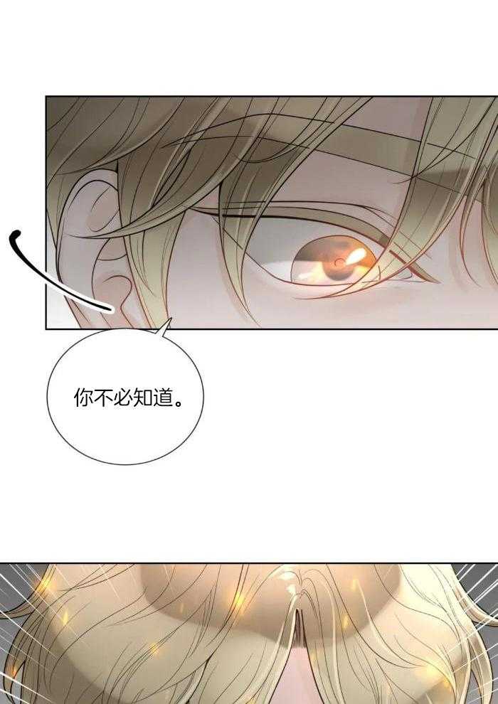 《阿尔法伴侣》漫画最新章节第88话免费下拉式在线观看章节第【16】张图片