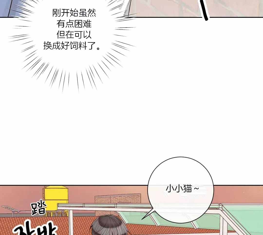 《阿尔法伴侣》漫画最新章节第96话免费下拉式在线观看章节第【18】张图片