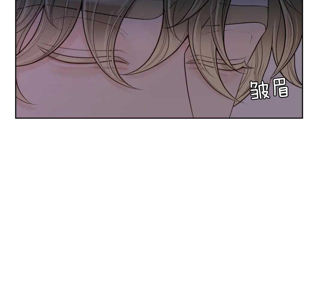 《阿尔法伴侣》漫画最新章节第98话免费下拉式在线观看章节第【31】张图片