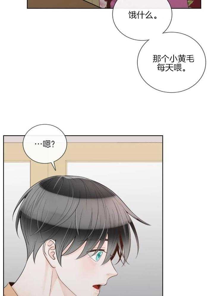 《阿尔法伴侣》漫画最新章节第89话免费下拉式在线观看章节第【25】张图片