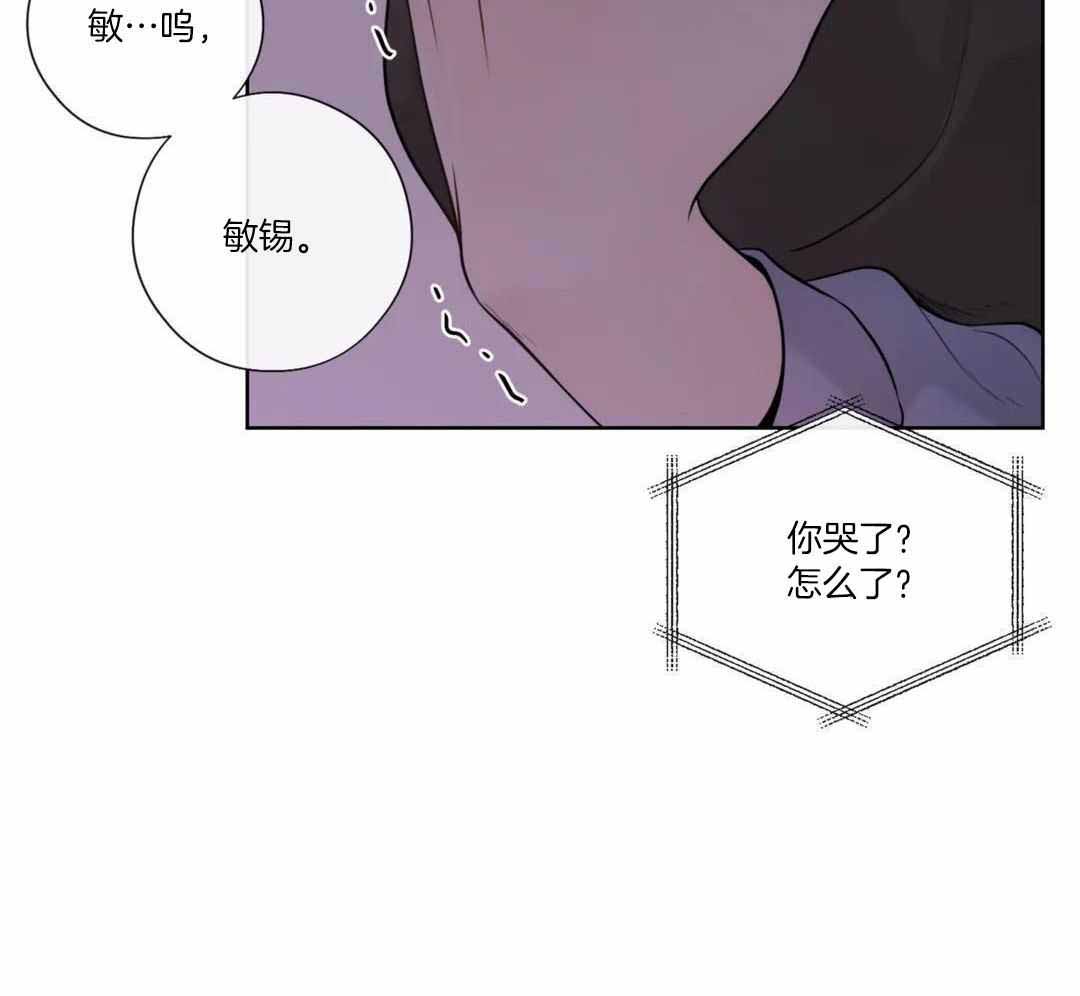 《阿尔法伴侣》漫画最新章节第97话免费下拉式在线观看章节第【17】张图片