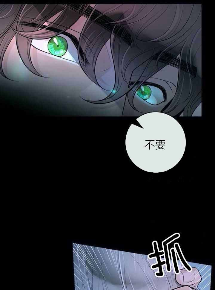 《阿尔法伴侣》漫画最新章节第68话免费下拉式在线观看章节第【12】张图片