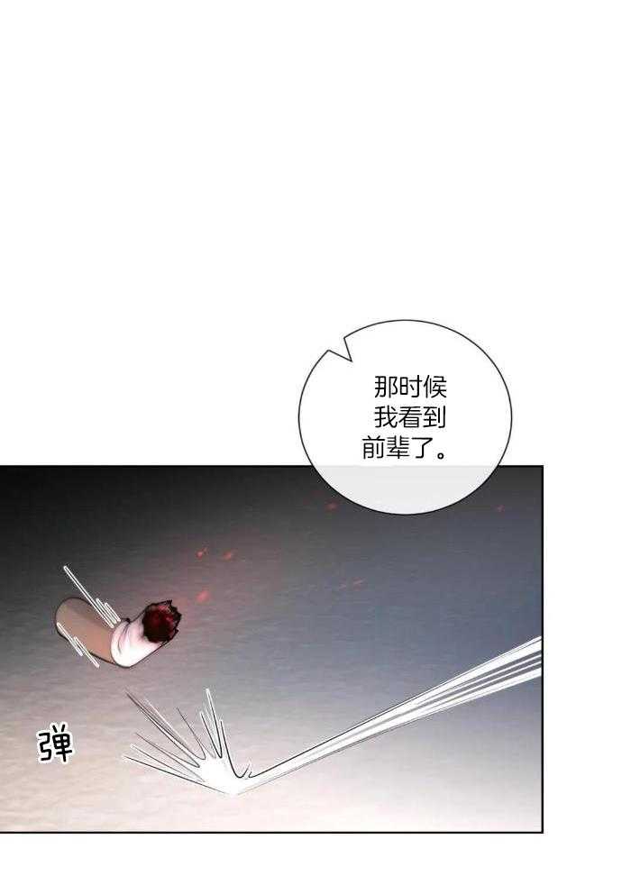 《阿尔法伴侣》漫画最新章节第78话免费下拉式在线观看章节第【10】张图片