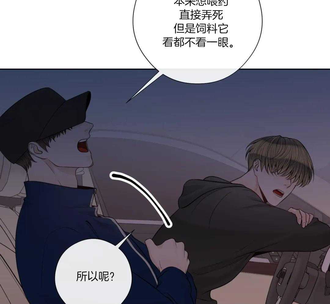 《阿尔法伴侣》漫画最新章节第97话免费下拉式在线观看章节第【32】张图片