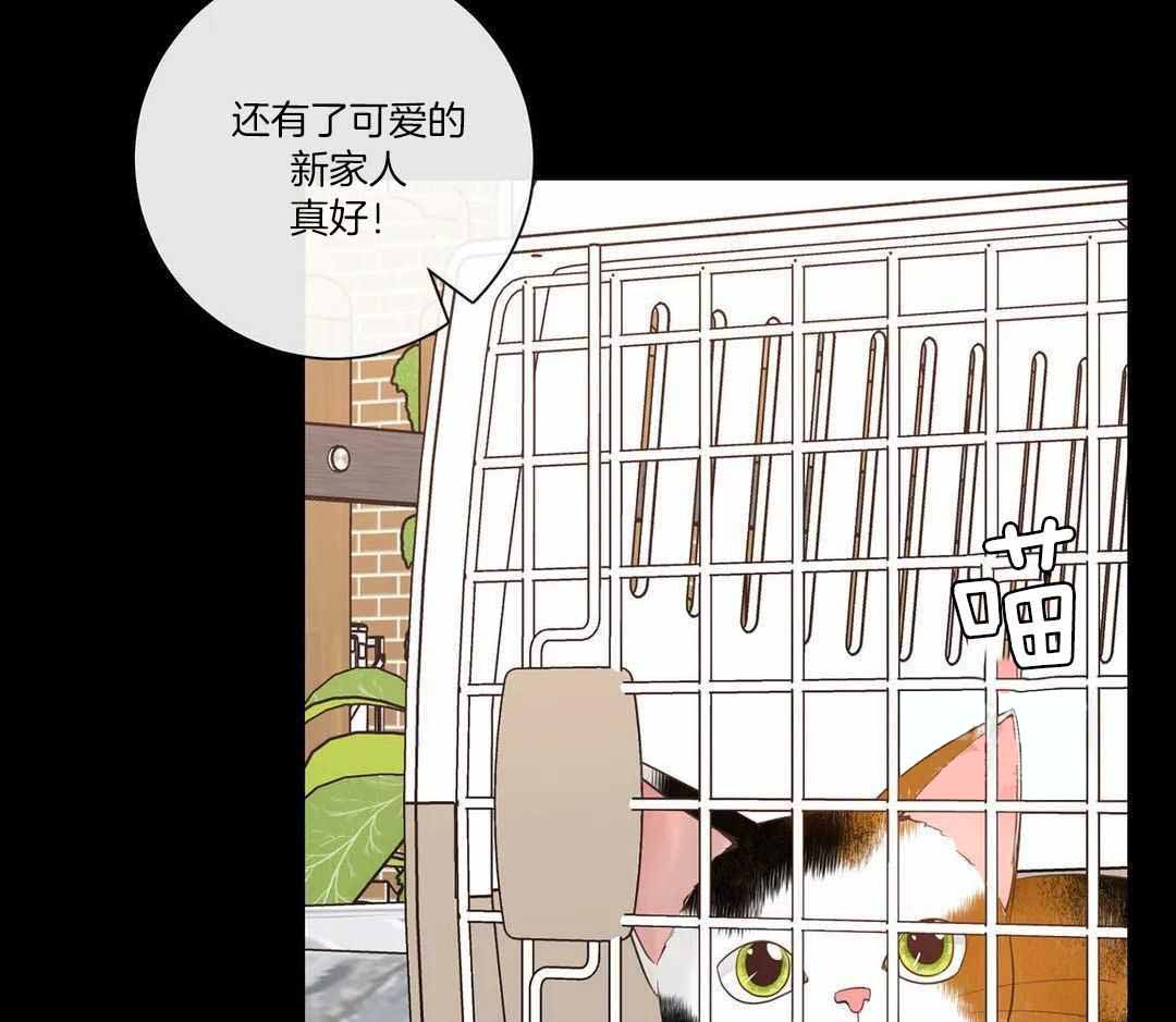 《阿尔法伴侣》漫画最新章节第94话免费下拉式在线观看章节第【44】张图片