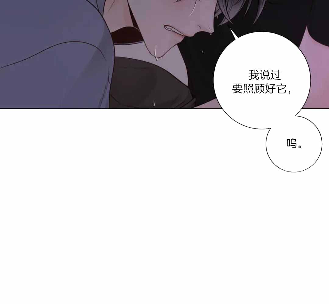 《阿尔法伴侣》漫画最新章节第98话免费下拉式在线观看章节第【24】张图片