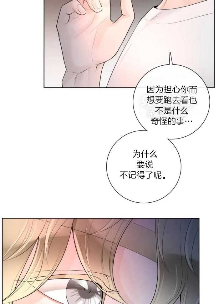 《阿尔法伴侣》漫画最新章节第78话免费下拉式在线观看章节第【12】张图片