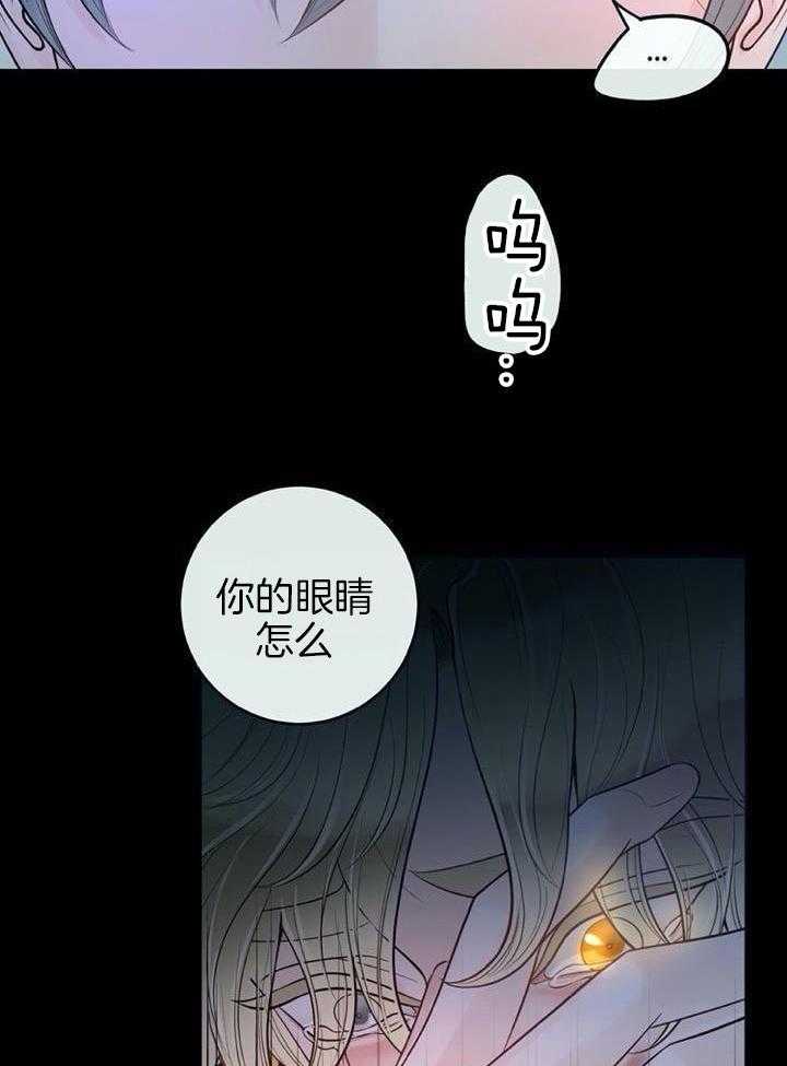 《阿尔法伴侣》漫画最新章节第69话免费下拉式在线观看章节第【11】张图片