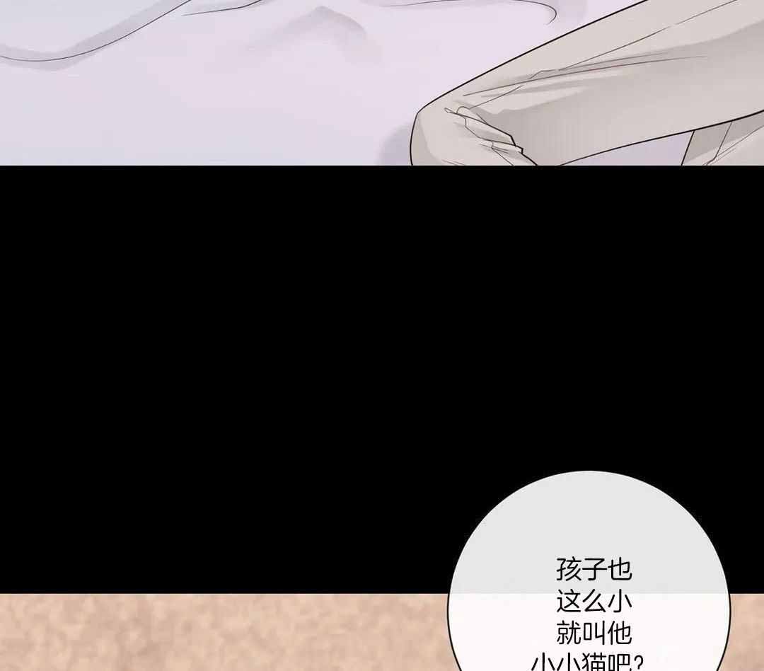 《阿尔法伴侣》漫画最新章节第95话免费下拉式在线观看章节第【51】张图片