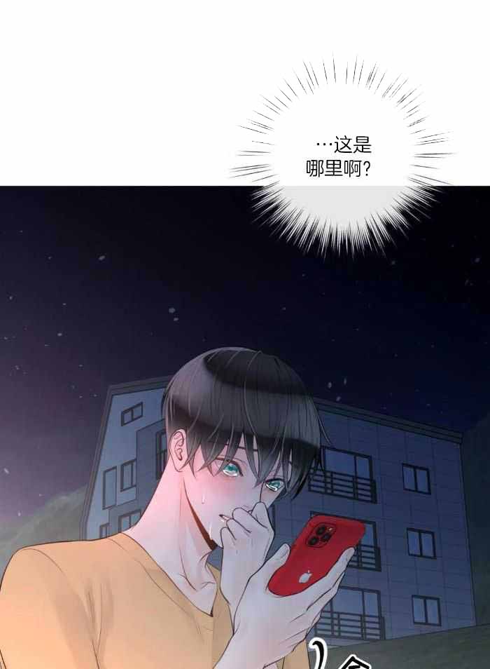 《阿尔法伴侣》漫画最新章节第78话免费下拉式在线观看章节第【31】张图片