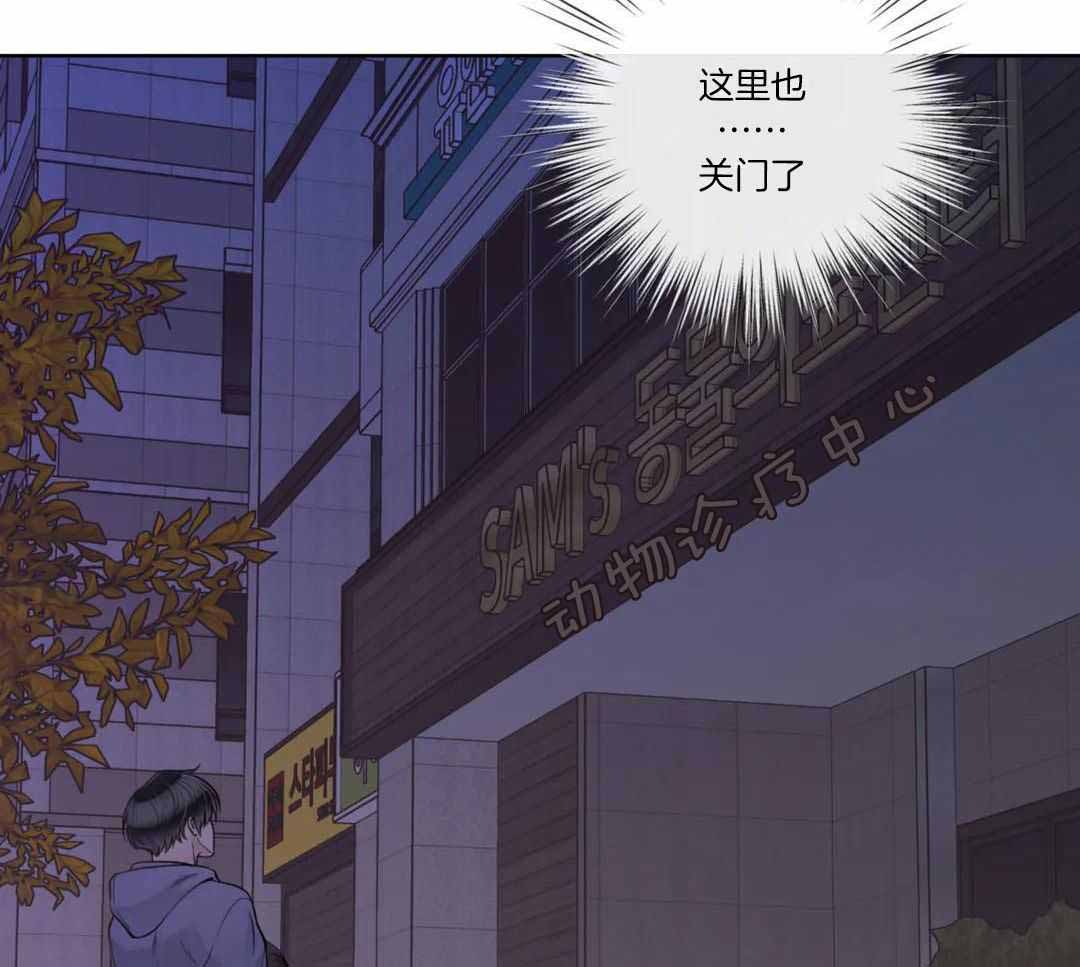 《阿尔法伴侣》漫画最新章节第96话免费下拉式在线观看章节第【39】张图片