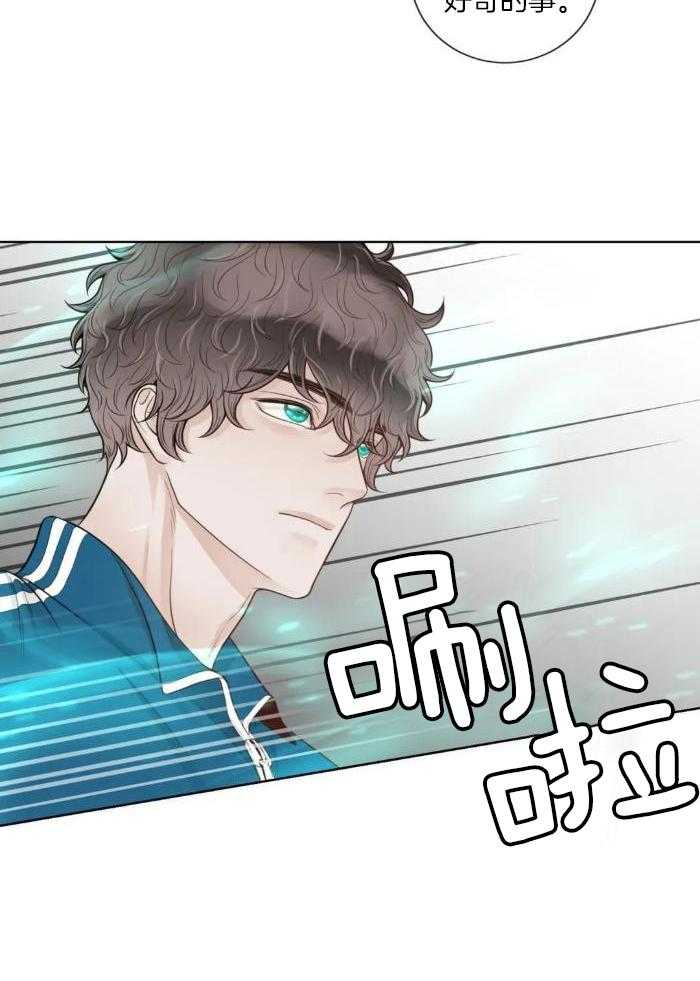 《阿尔法伴侣》漫画最新章节第82话免费下拉式在线观看章节第【13】张图片