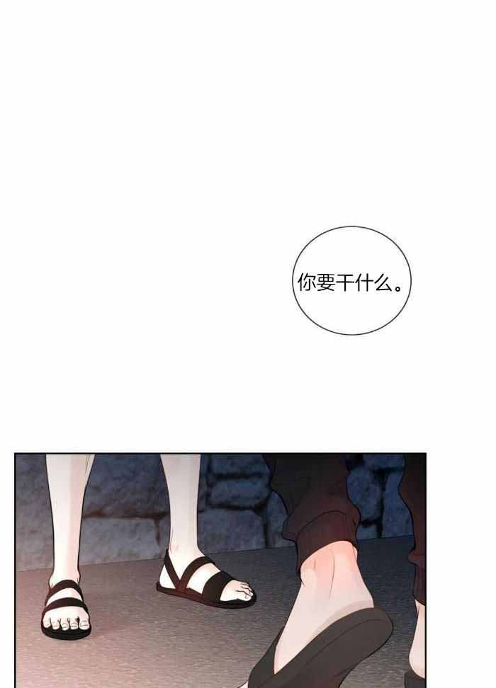 《阿尔法伴侣》漫画最新章节第78话免费下拉式在线观看章节第【1】张图片