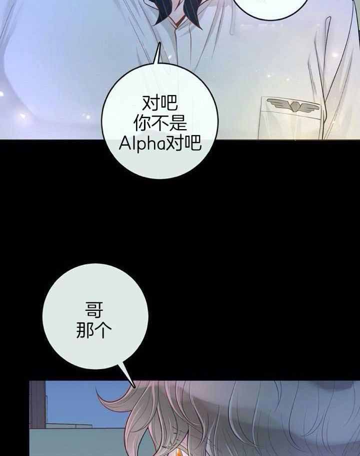 《阿尔法伴侣》漫画最新章节第69话免费下拉式在线观看章节第【31】张图片