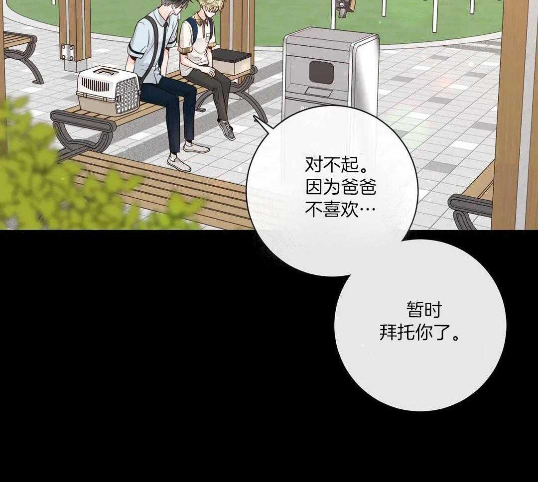 《阿尔法伴侣》漫画最新章节第94话免费下拉式在线观看章节第【28】张图片