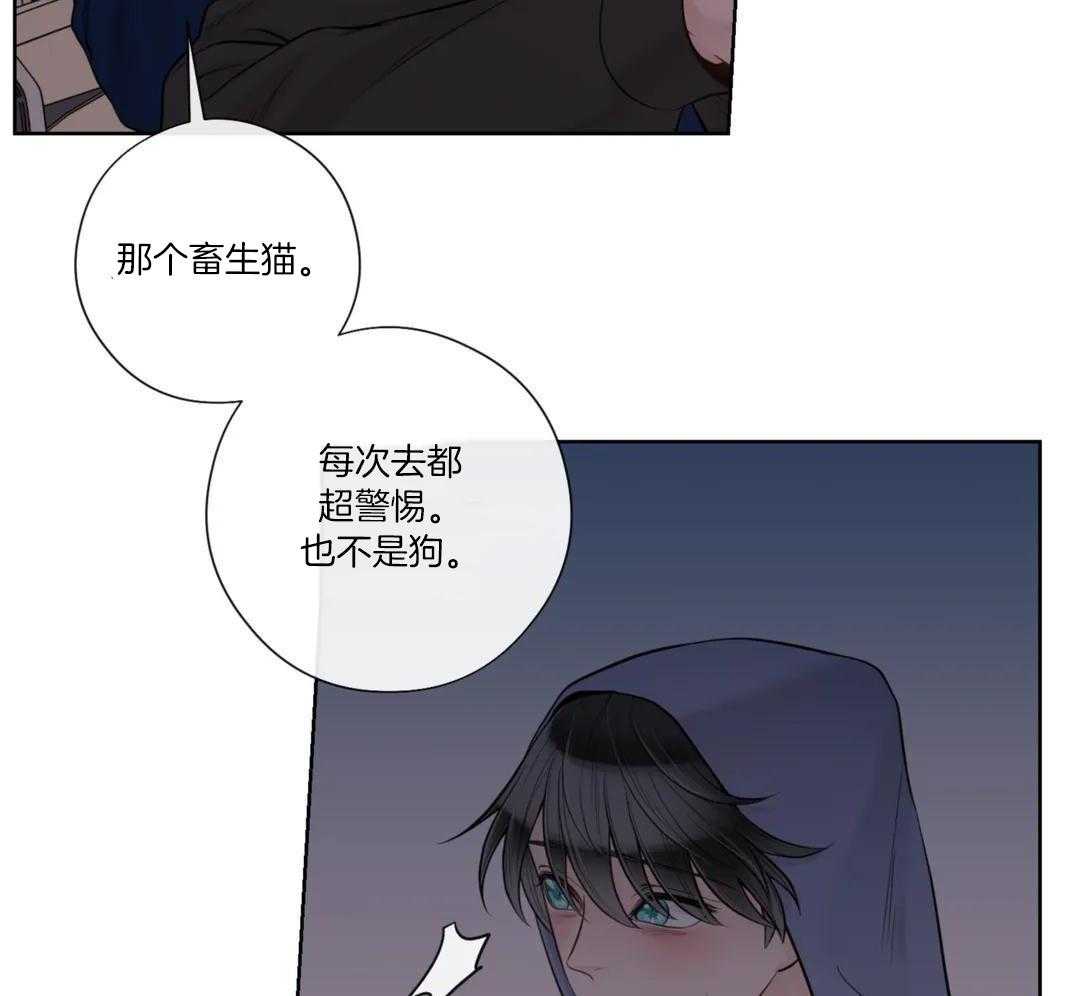 《阿尔法伴侣》漫画最新章节第97话免费下拉式在线观看章节第【30】张图片