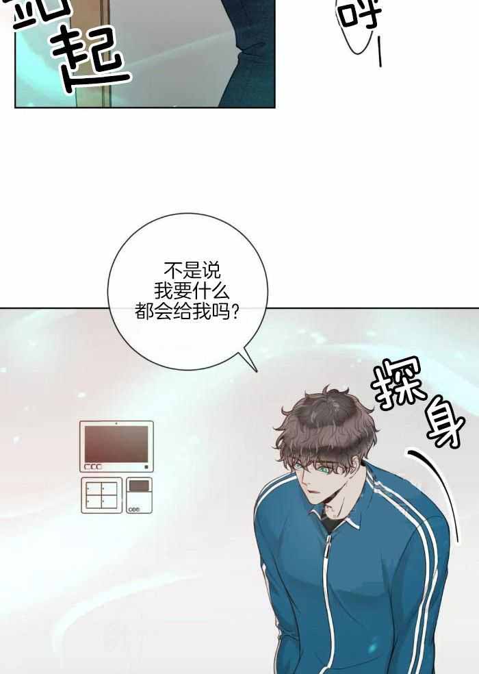 《阿尔法伴侣》漫画最新章节第82话免费下拉式在线观看章节第【39】张图片