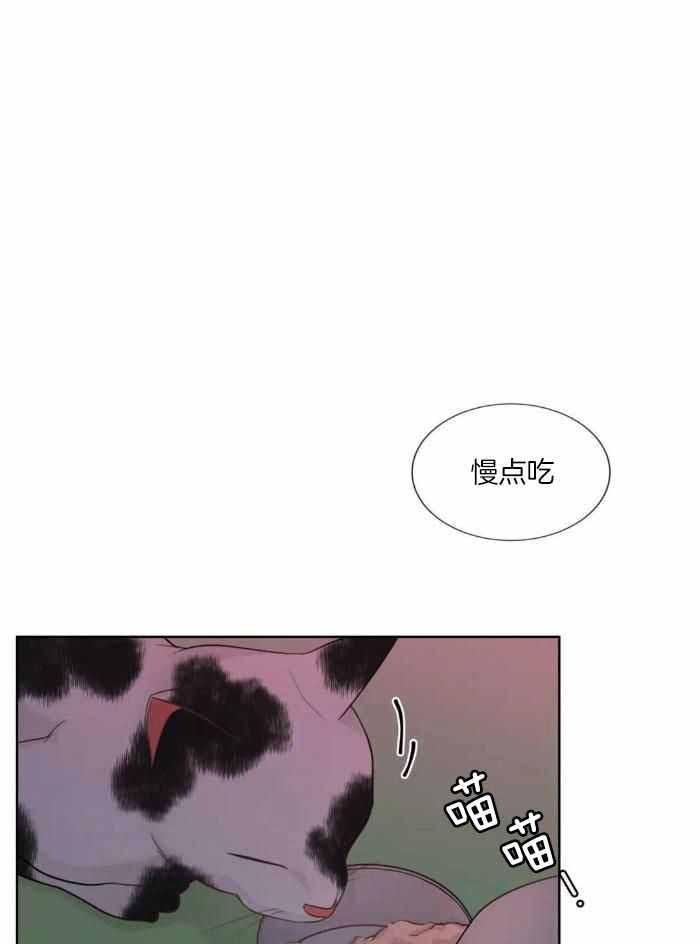 《阿尔法伴侣》漫画最新章节第90话免费下拉式在线观看章节第【1】张图片