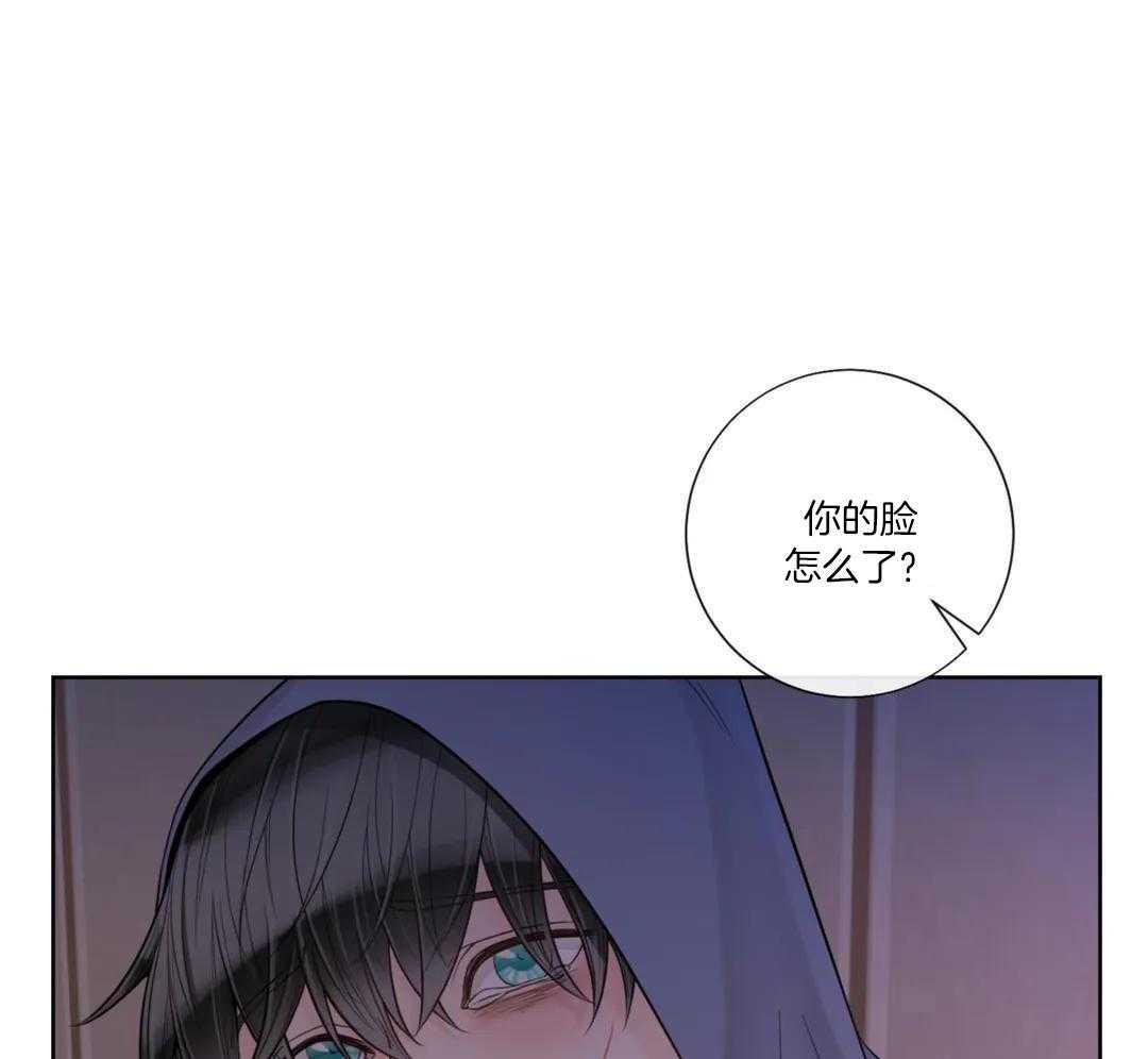 《阿尔法伴侣》漫画最新章节第98话免费下拉式在线观看章节第【11】张图片