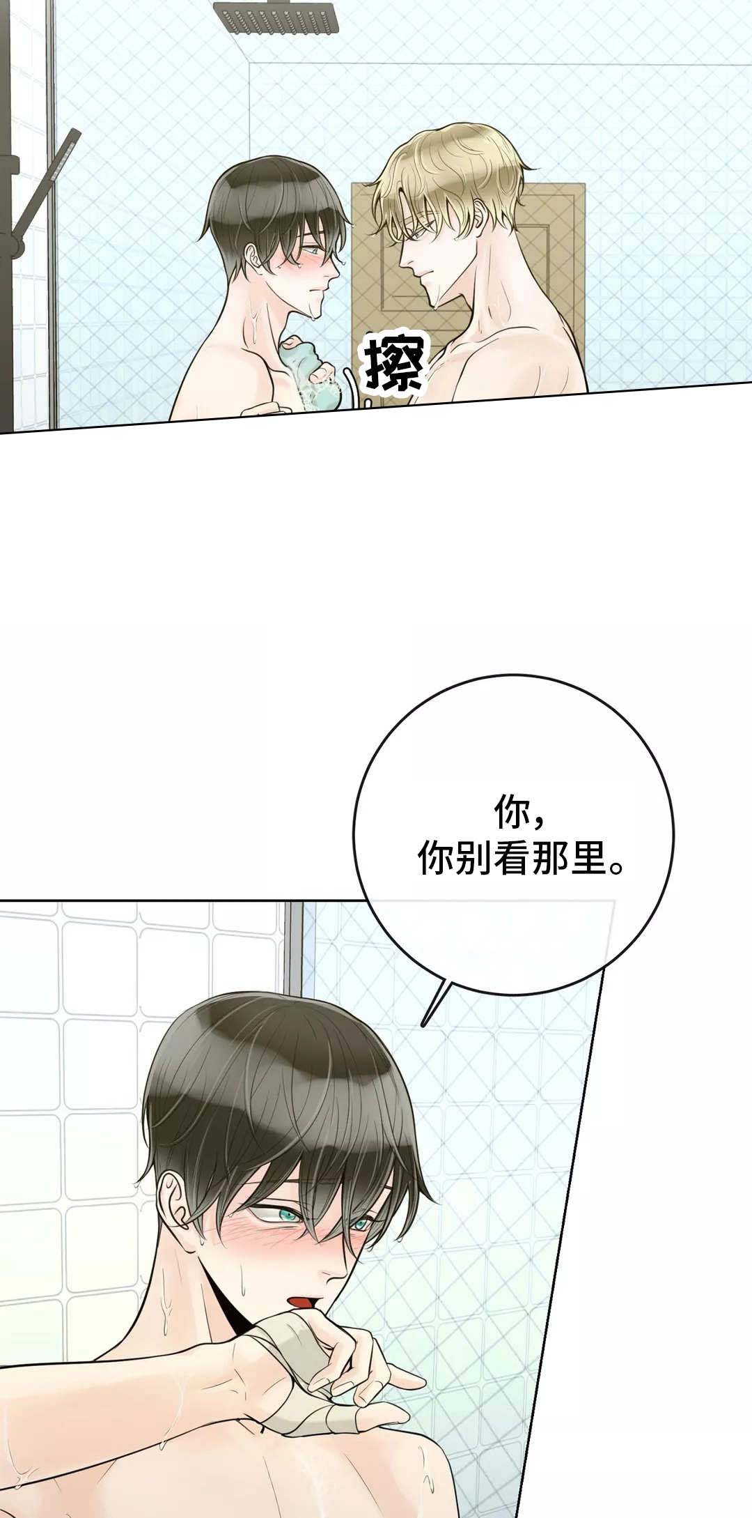 《阿尔法伴侣》漫画最新章节第47话免费下拉式在线观看章节第【4】张图片