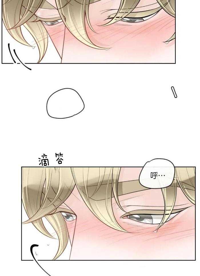 《阿尔法伴侣》漫画最新章节第76话免费下拉式在线观看章节第【19】张图片