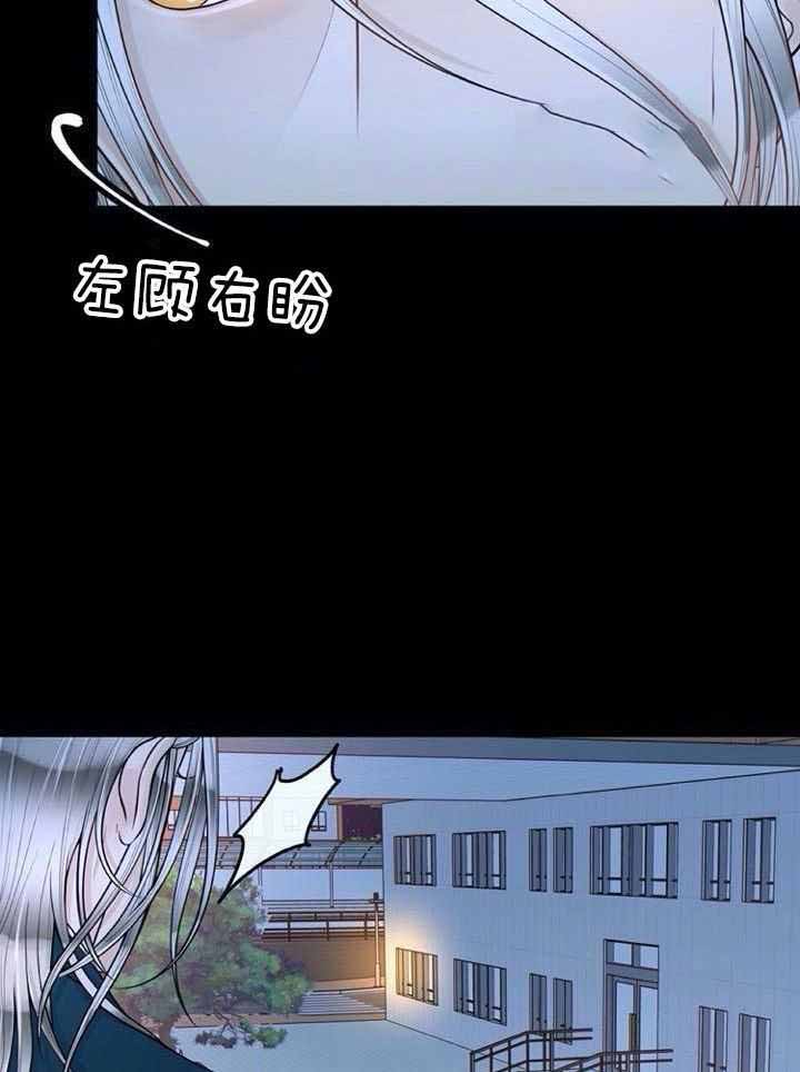 《阿尔法伴侣》漫画最新章节第67话免费下拉式在线观看章节第【8】张图片