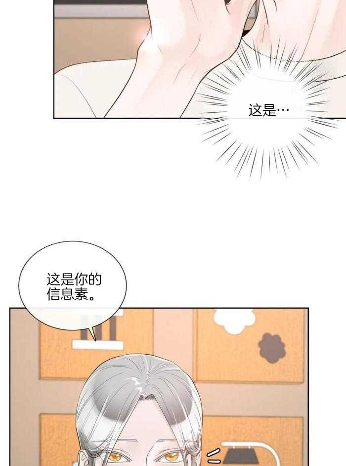 《阿尔法伴侣》漫画最新章节第85话免费下拉式在线观看章节第【24】张图片