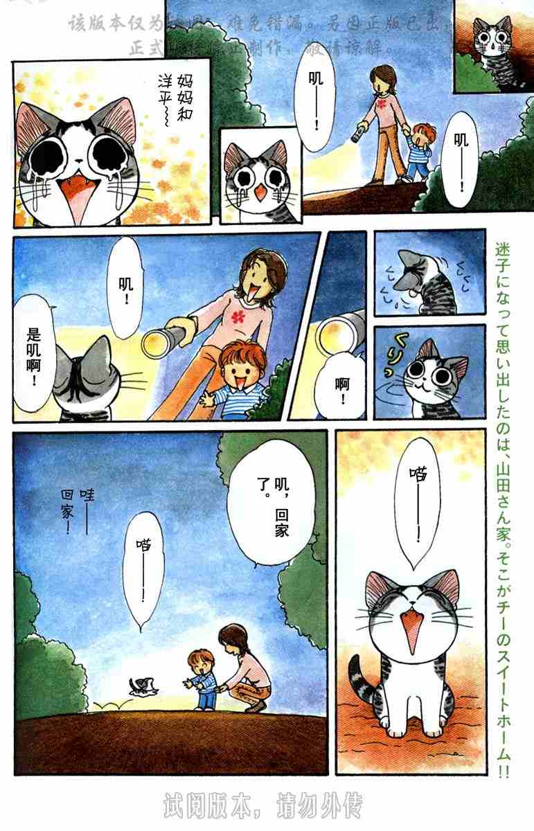 《甜甜私房猫》漫画最新章节第1卷免费下拉式在线观看章节第【95】张图片