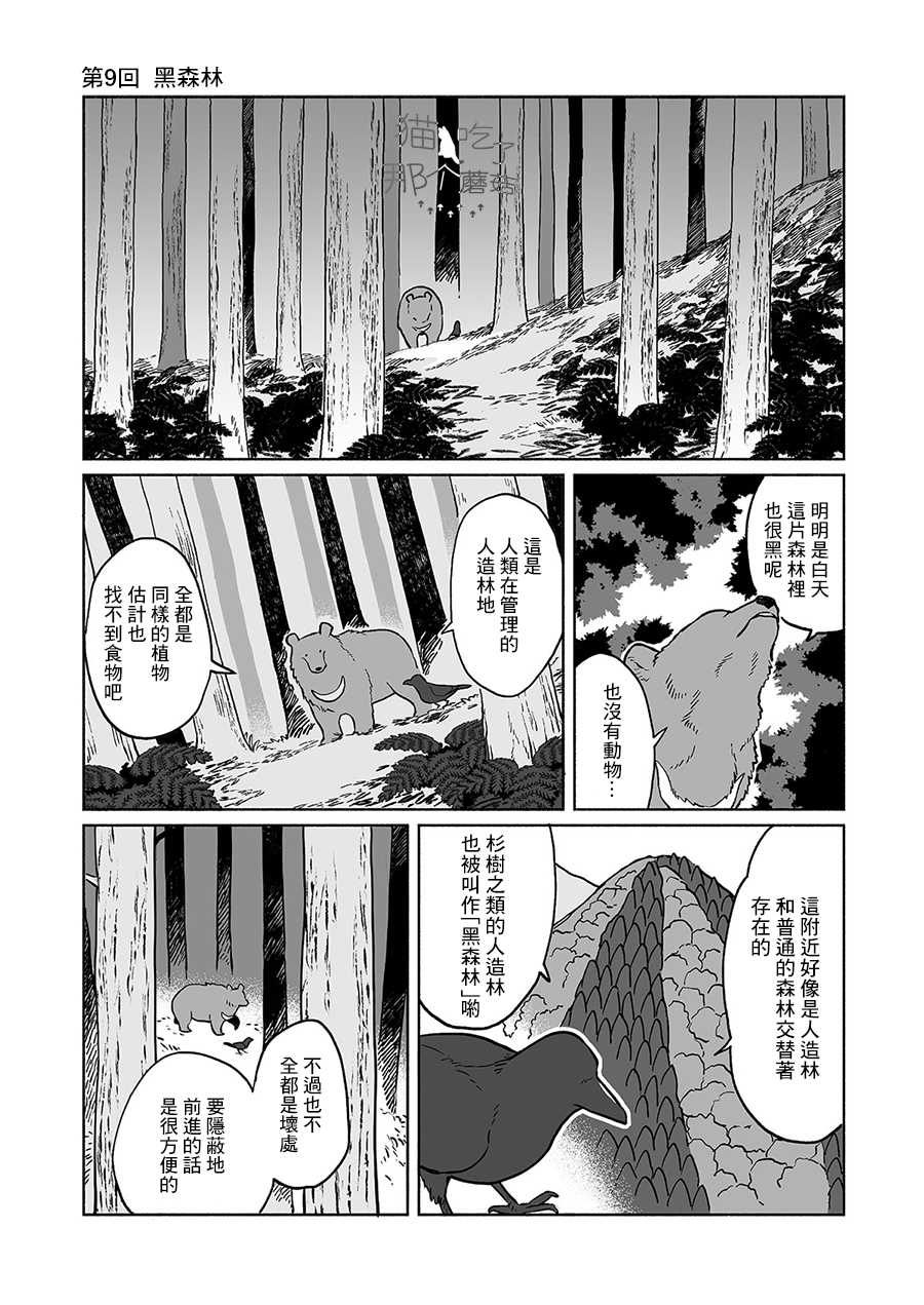 《熊与乌鸦》漫画最新章节第9话免费下拉式在线观看章节第【1】张图片