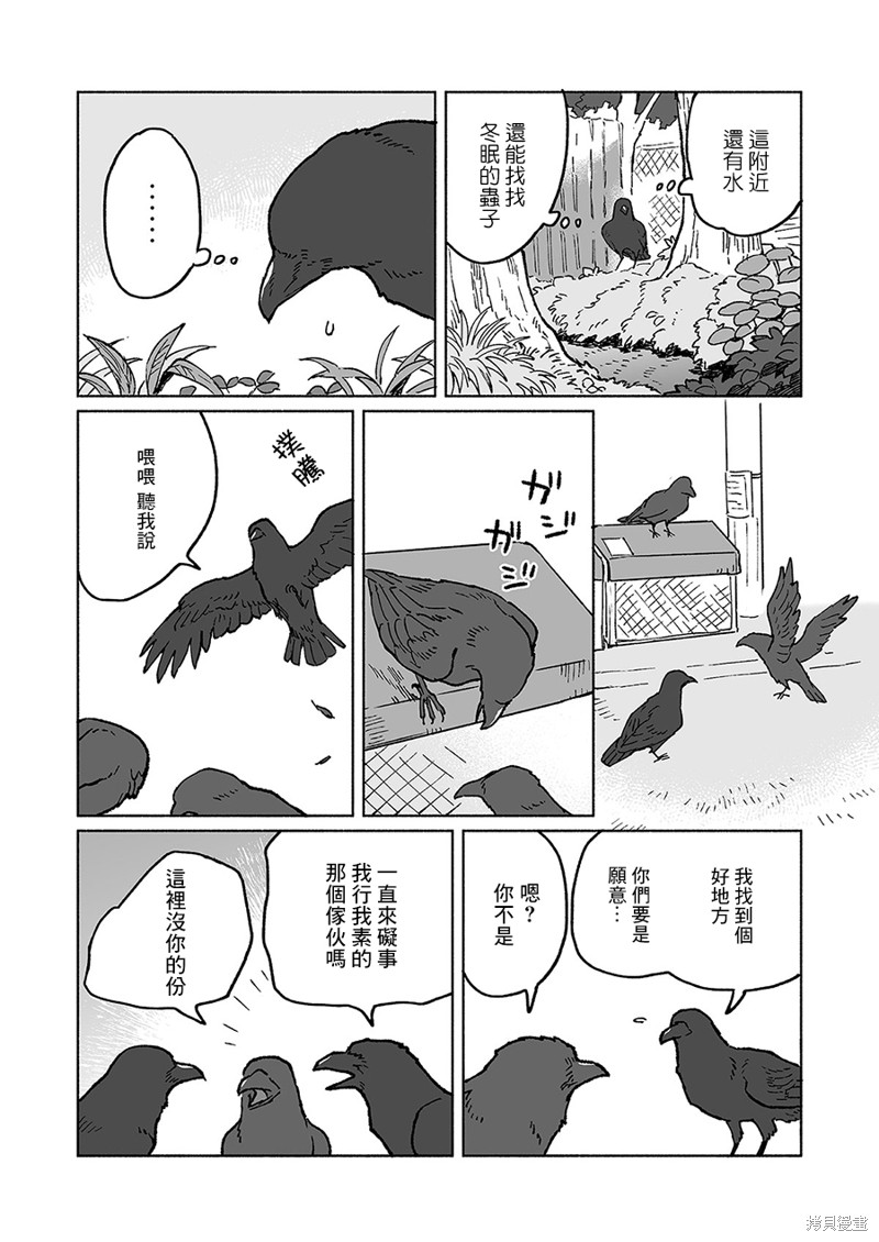 《熊与乌鸦》漫画最新章节第23话免费下拉式在线观看章节第【6】张图片