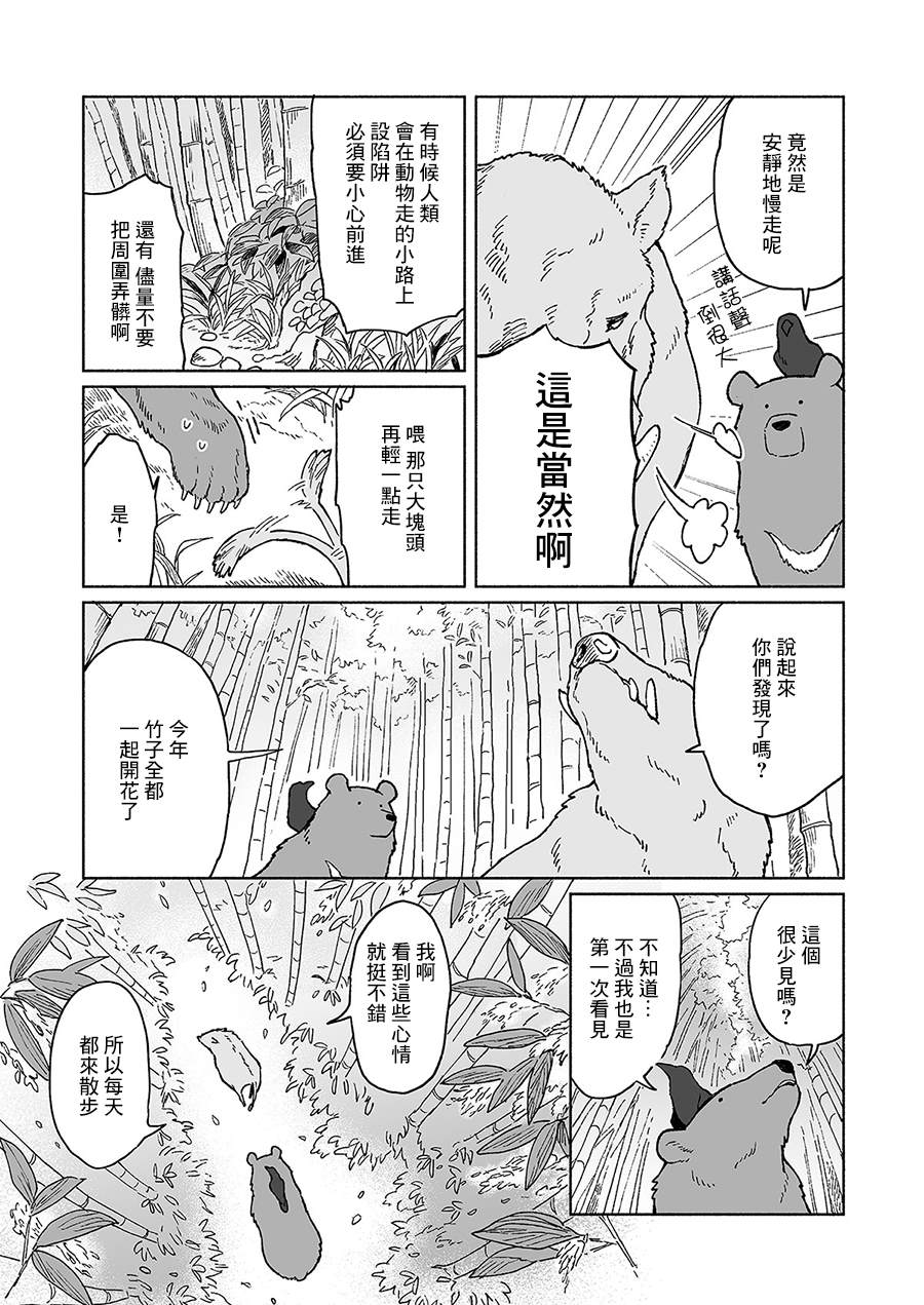 《熊与乌鸦》漫画最新章节第17话免费下拉式在线观看章节第【3】张图片