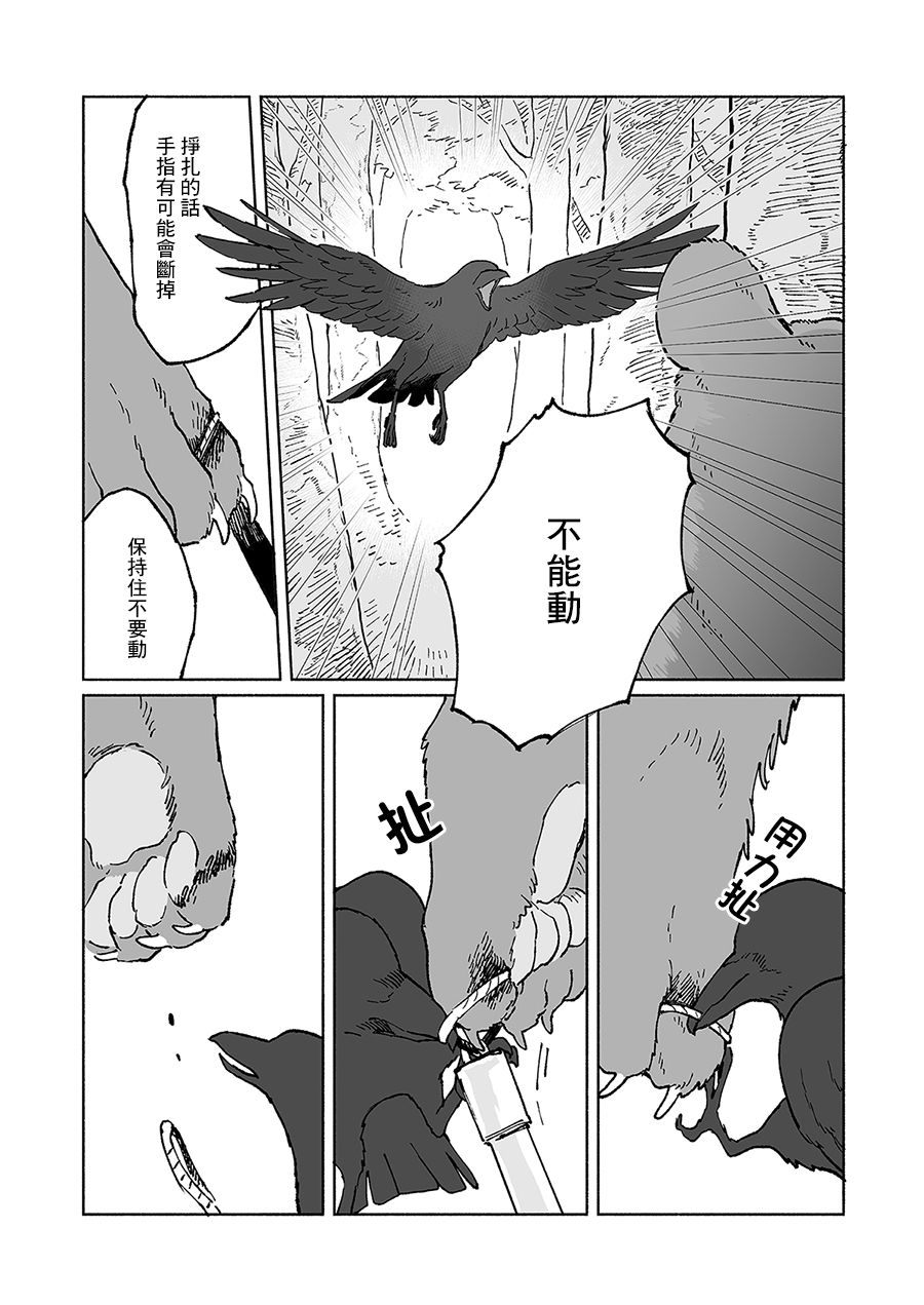 《熊与乌鸦》漫画最新章节第5话免费下拉式在线观看章节第【5】张图片