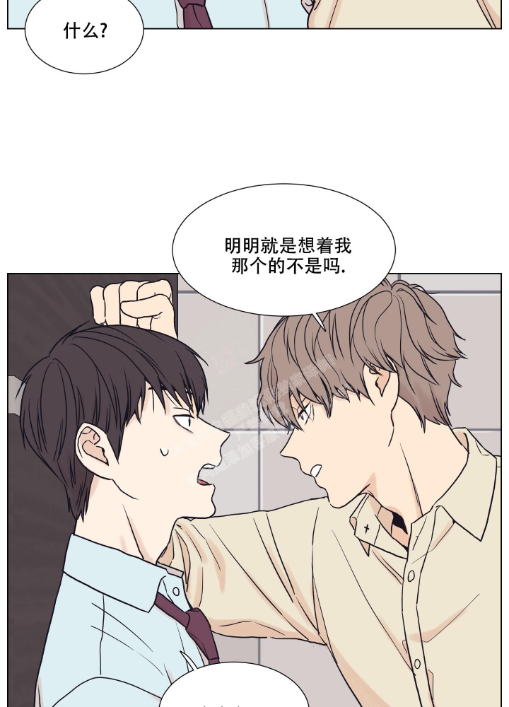 《金代理的规则》漫画最新章节第5话免费下拉式在线观看章节第【13】张图片