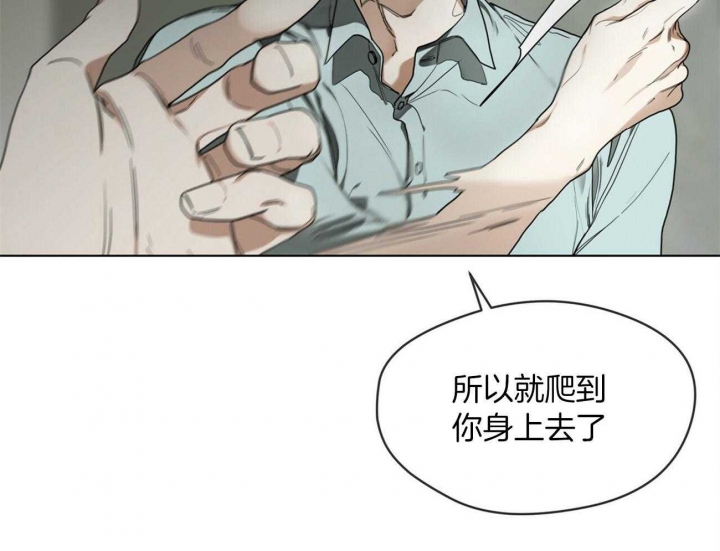 《犯规》漫画最新章节第19话免费下拉式在线观看章节第【36】张图片