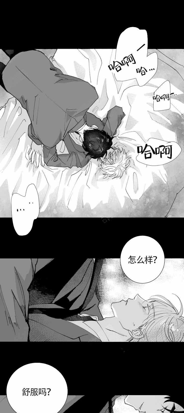 《教义：盲目》漫画最新章节第12话免费下拉式在线观看章节第【21】张图片