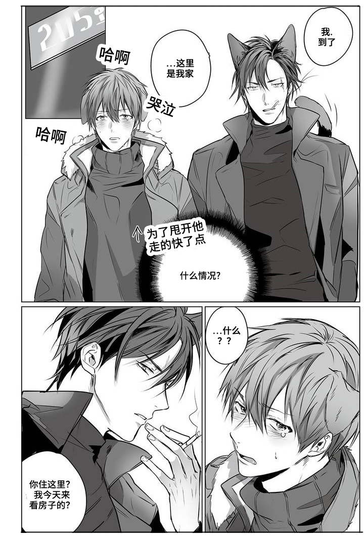 《过敏体格》漫画最新章节第1话免费下拉式在线观看章节第【21】张图片