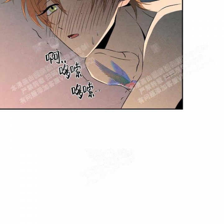 《祝你好运》漫画最新章节第31话免费下拉式在线观看章节第【24】张图片