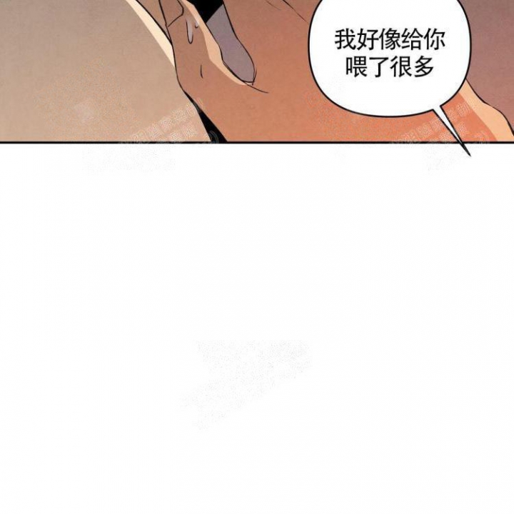 《祝你好运》漫画最新章节第31话免费下拉式在线观看章节第【4】张图片