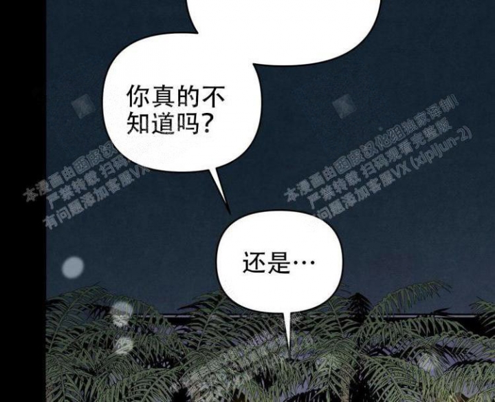 《祝你好运》漫画最新章节第45话免费下拉式在线观看章节第【13】张图片