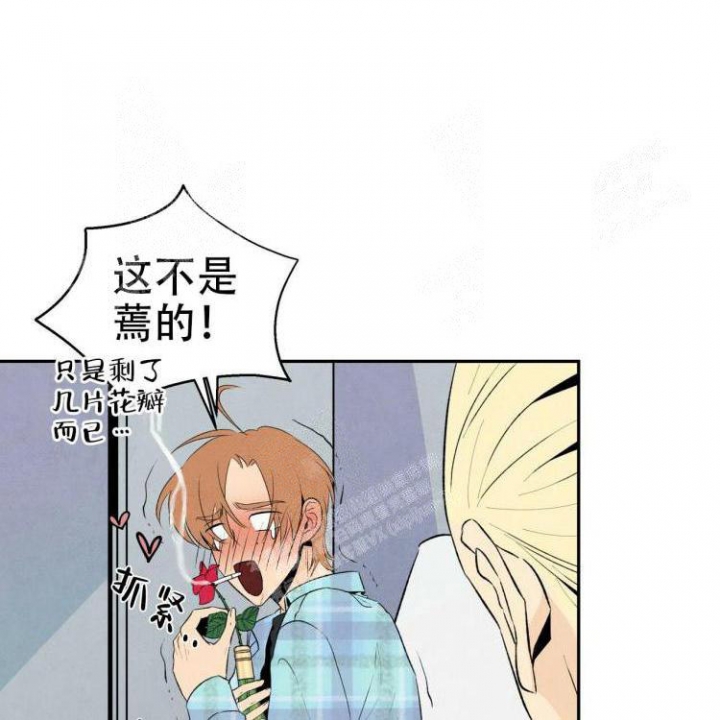 《祝你好运》漫画最新章节第50话免费下拉式在线观看章节第【7】张图片