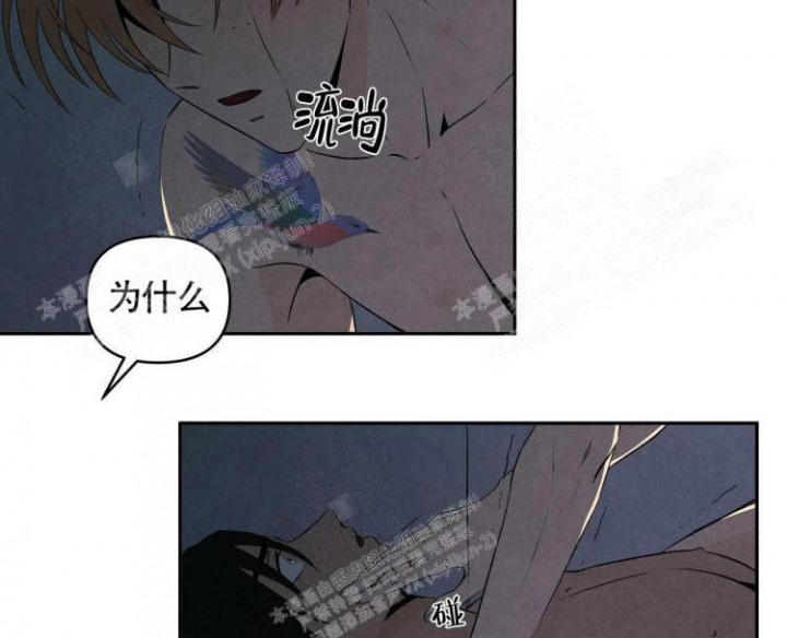 《祝你好运》漫画最新章节第36话免费下拉式在线观看章节第【16】张图片