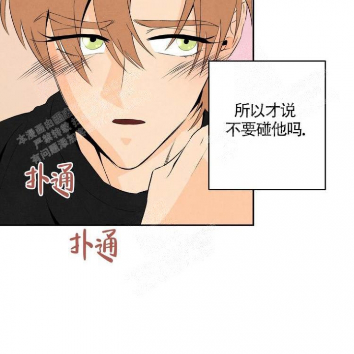 《祝你好运》漫画最新章节第19话免费下拉式在线观看章节第【37】张图片